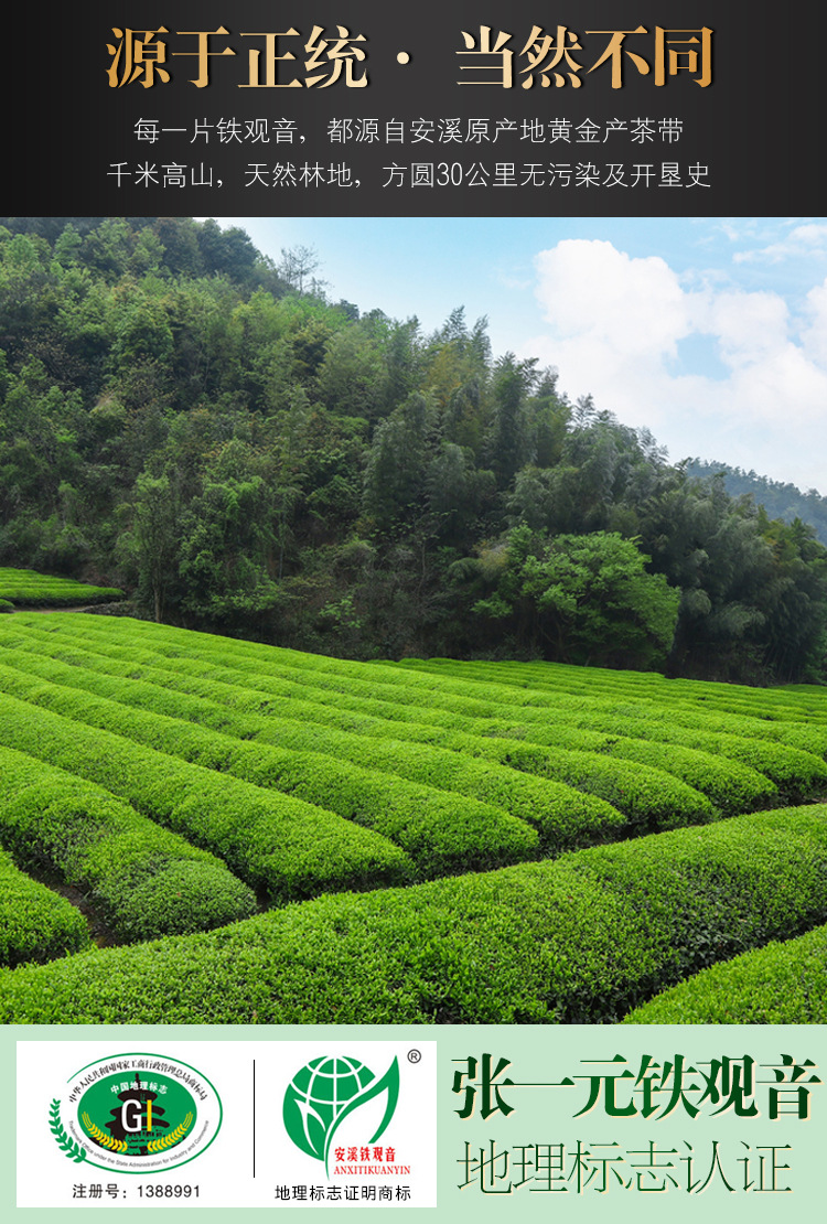张一元安溪铁观音特级浓香型新茶福建铁观音乌龙茶叶240g礼盒装