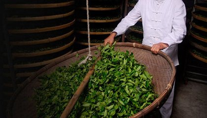 观音韵的香是哪里来的?|界面新闻