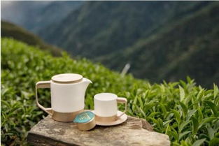 变革者的宿命,我眼中的小罐茶