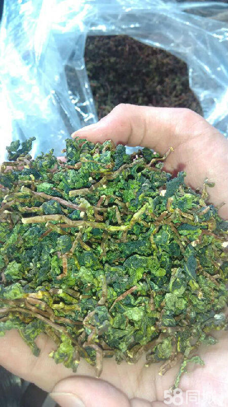 安溪铁观音茶叶出厂价格