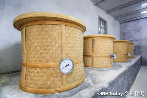 非常,惊喜等着你