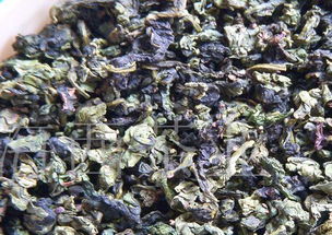 安溪铁观音茶叶 东方茗茶的精粹与文化传承