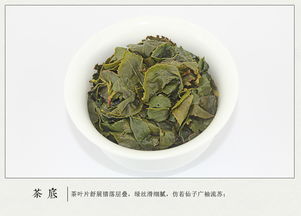 正宗安溪铁观音 清香型铁观音礼盒装，品味茶中珍品