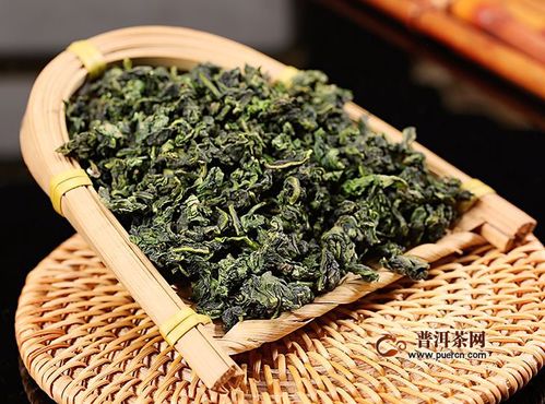 铁观音 春茶与秋茶的风味对决