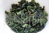 安溪铁观音黄金桂新茶上市，20斤起定混批供应，品味春天第一缕茶香